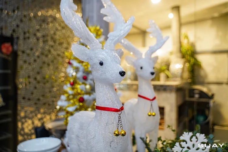 Festive event
